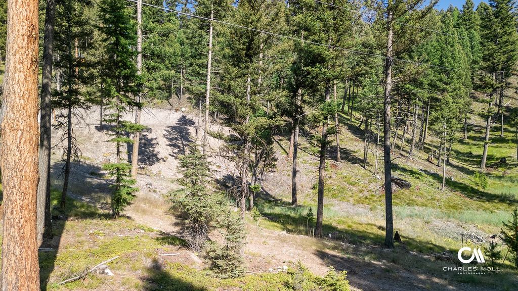 Photo of 170 Leota Peak Court, Seeley Lake, MT 59868 (MLS # 30068943)