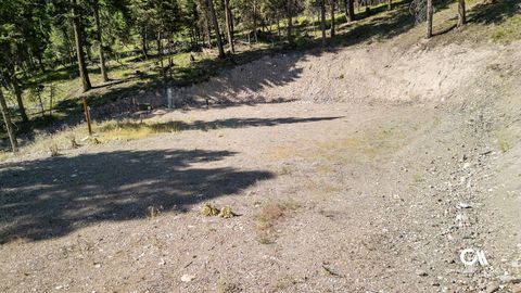 Tiny photo for 170 Leota Peak Court, Seeley Lake, MT 59868 (MLS # 30068943)
