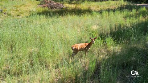 Tiny photo for 170 Leota Peak Court, Seeley Lake, MT 59868 (MLS # 30068943)