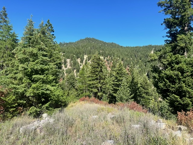 NHN Dry Gulch Road