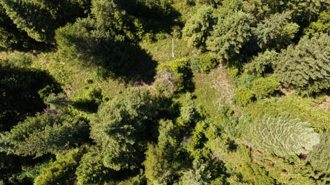 Tiny photo for 4577 Quartz Creek Road, Libby, MT 59923 (MLS # 30073487)