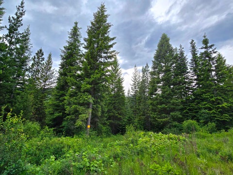 Tiny photo for 4577 Quartz Creek Road, Libby, MT 59923 (MLS # 30073487)