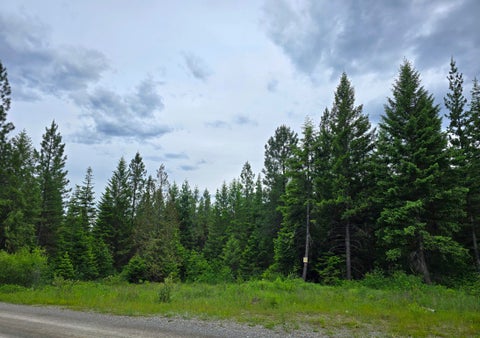 Tiny photo for 4577 Quartz Creek Road, Libby, MT 59923 (MLS # 30073487)