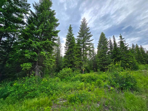 Tiny photo for 4577 Quartz Creek Road, Libby, MT 59923 (MLS # 30073487)