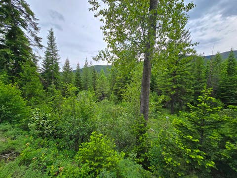 Tiny photo for 4577 Quartz Creek Road, Libby, MT 59923 (MLS # 30073487)