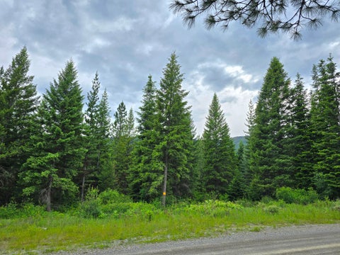 Tiny photo for 4577 Quartz Creek Road, Libby, MT 59923 (MLS # 30073487)