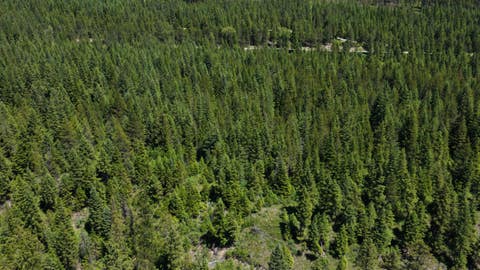 Tiny photo for 4577 Quartz Creek Road, Libby, MT 59923 (MLS # 30073487)