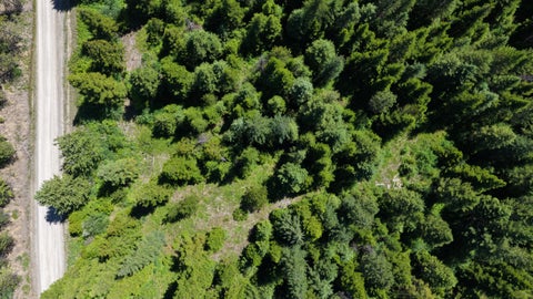Tiny photo for 4577 Quartz Creek Road, Libby, MT 59923 (MLS # 30073487)