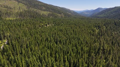 Tiny photo for 4577 Quartz Creek Road, Libby, MT 59923 (MLS # 30073487)