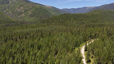 Tiny photo for 4577 Quartz Creek Road, Libby, MT 59923 (MLS # 30073487)