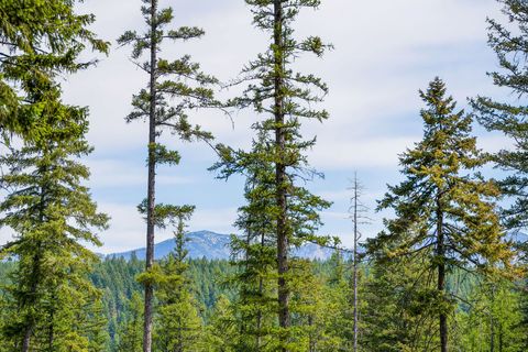 Tiny photo for 477 Chief Cliff Trail, Bigfork, MT 59911 (MLS # 30070233)