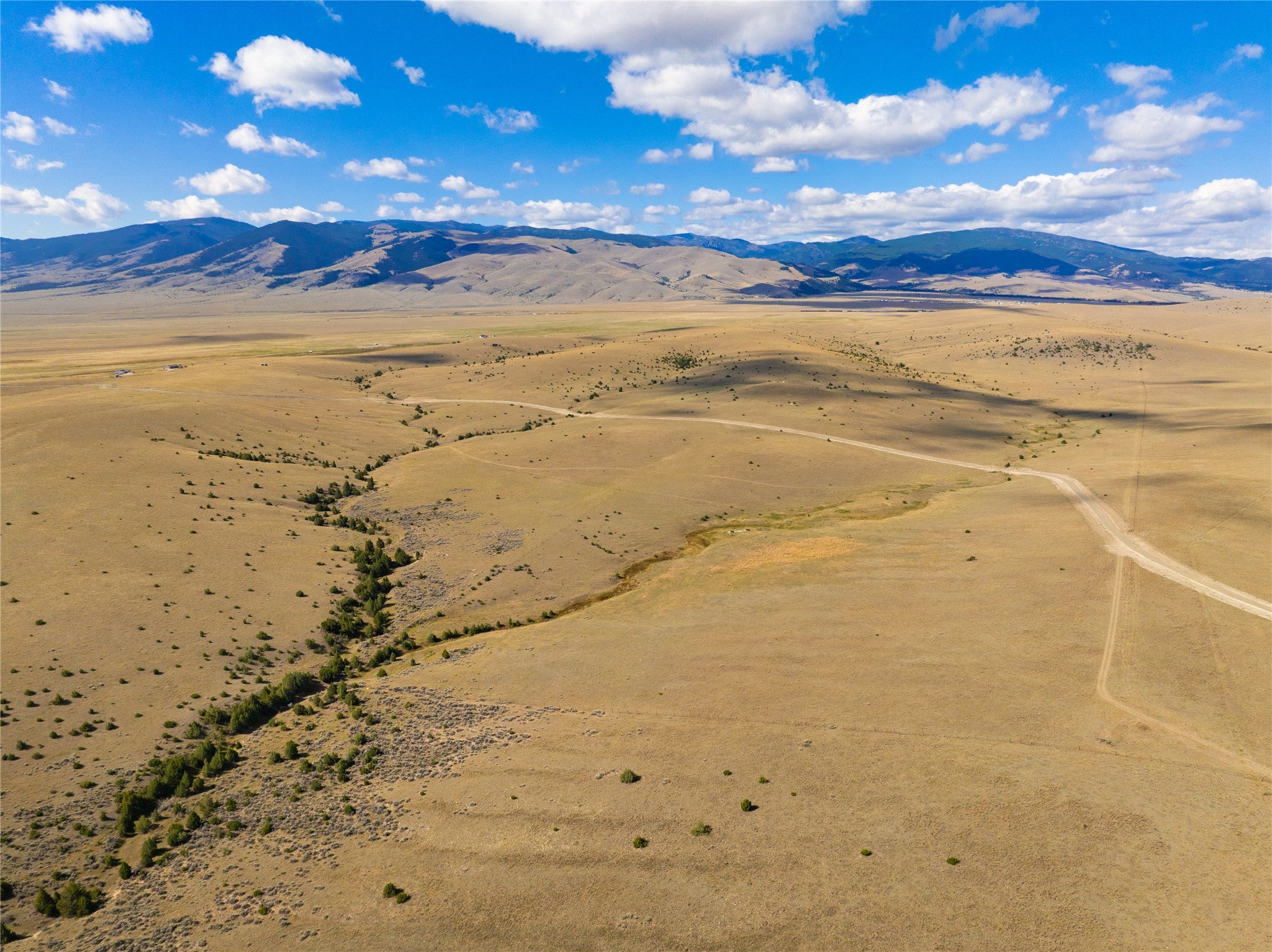 Tract 2B Open Range Trail - Photo 4