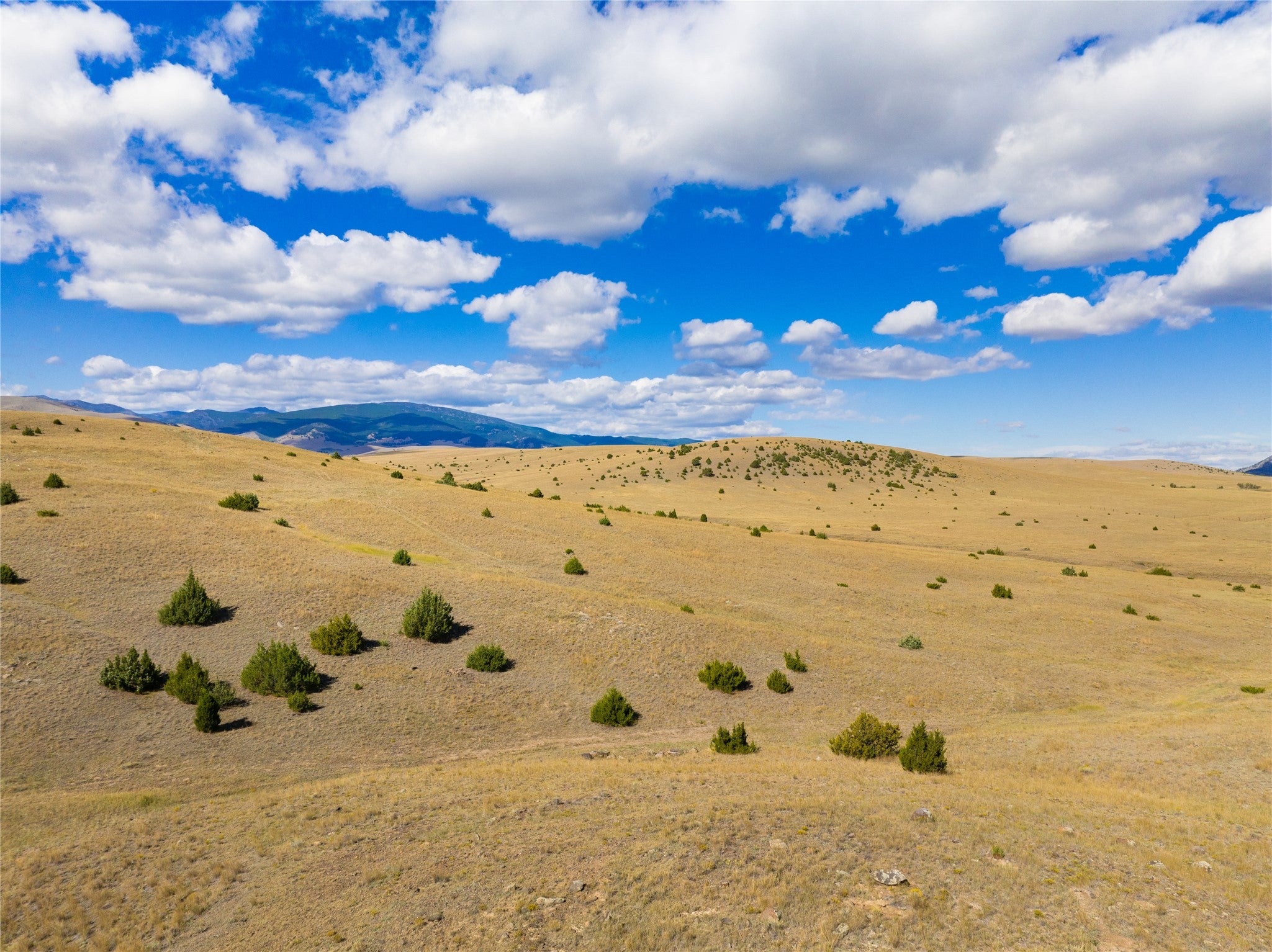 Tract 2B Open Range Trail - Photo 2