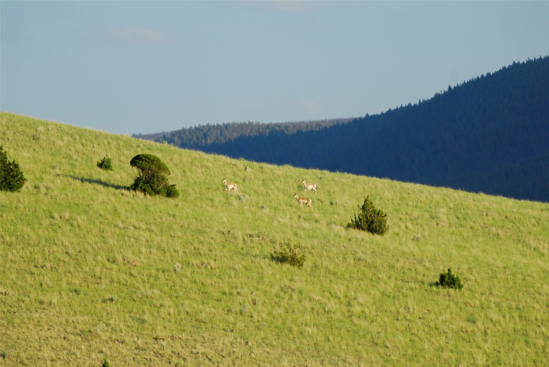 Boulder, Montana 59632, United States, ,Land,Active,12011