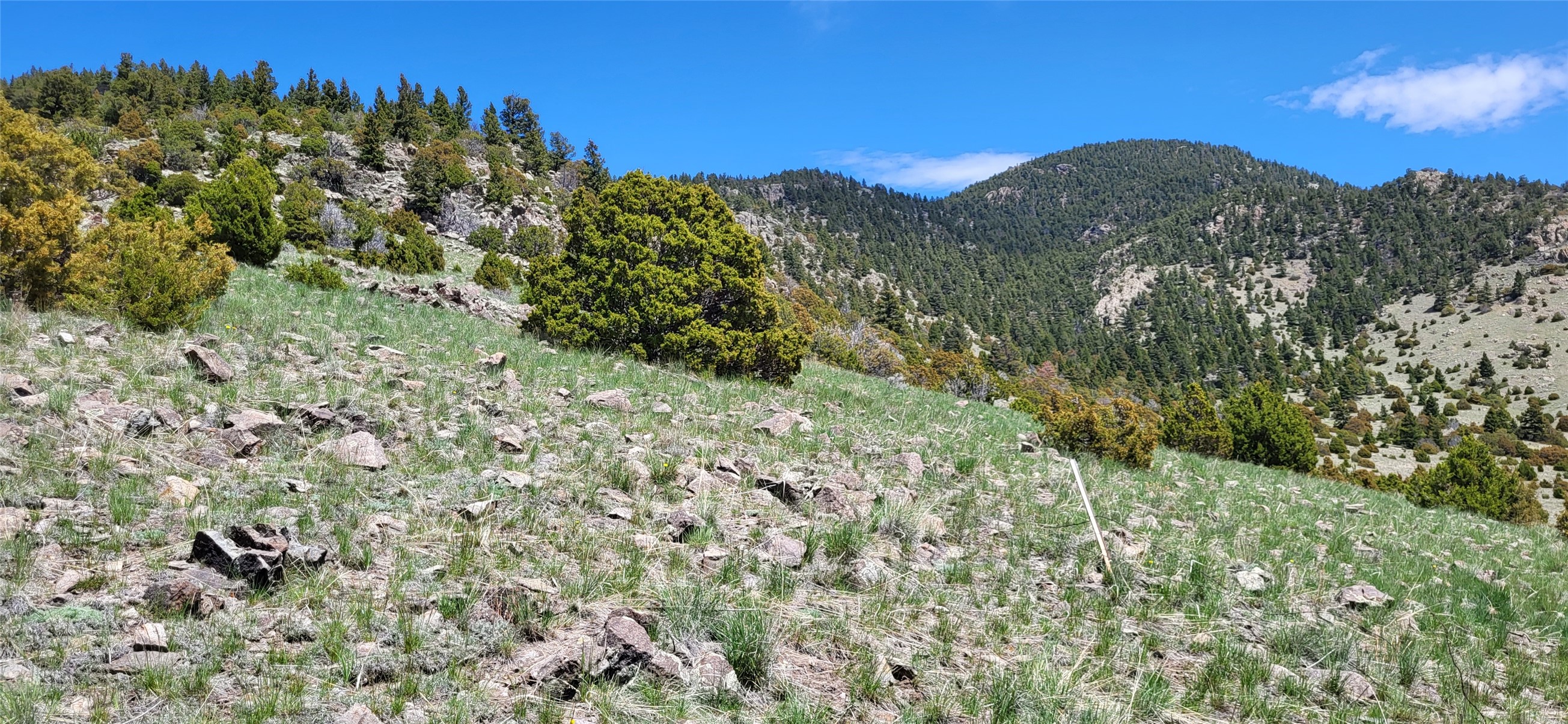 Boulder, Montana 59632, United States, ,Land,Active,12011