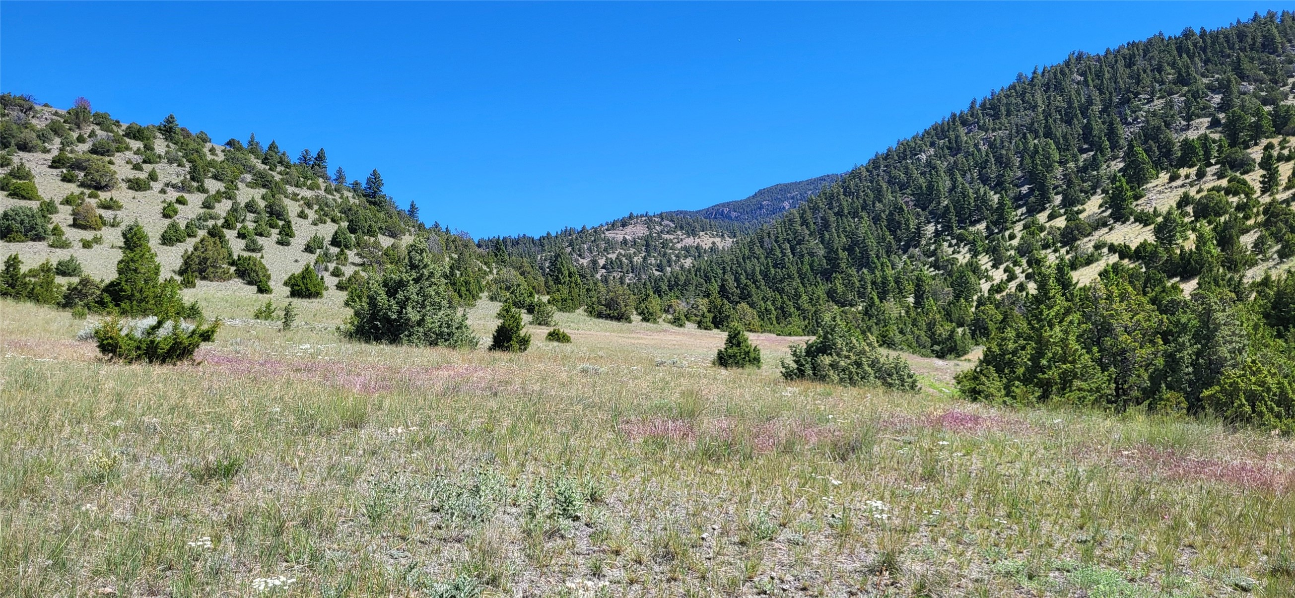 902 Lower Valley Road