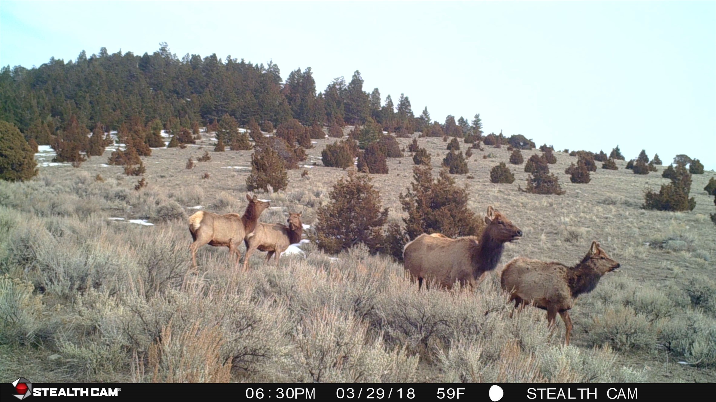 Boulder, Montana 59632, United States, ,Land,Active,12011