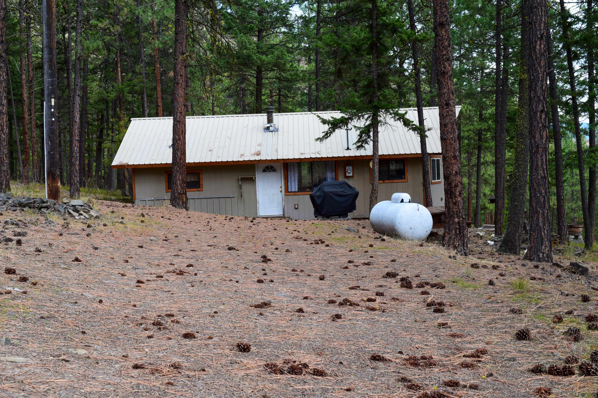 15384 Rosco Road