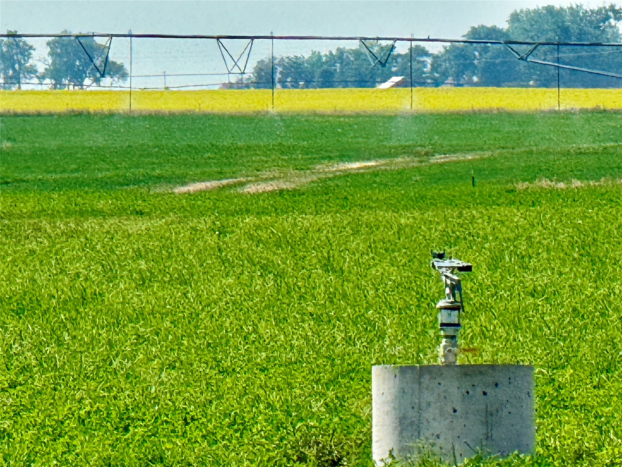 NHN County Line Road