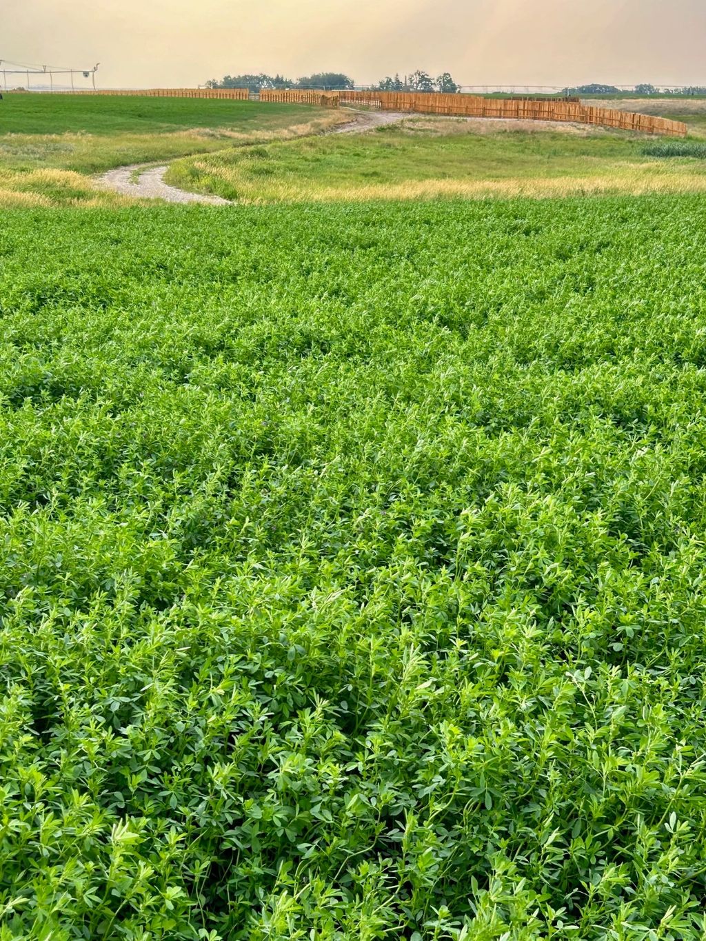 Photo of NHN 12th Lane, Fort Shaw, MT 59443 (MLS # 30061668)