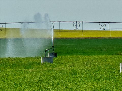 NHN 12th Lane Fort Shaw MT 59443