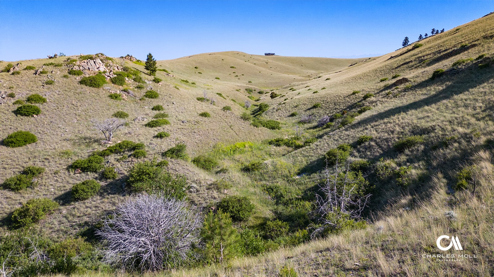 Helena, Montana 59601, United States, ,Land,Active,156954