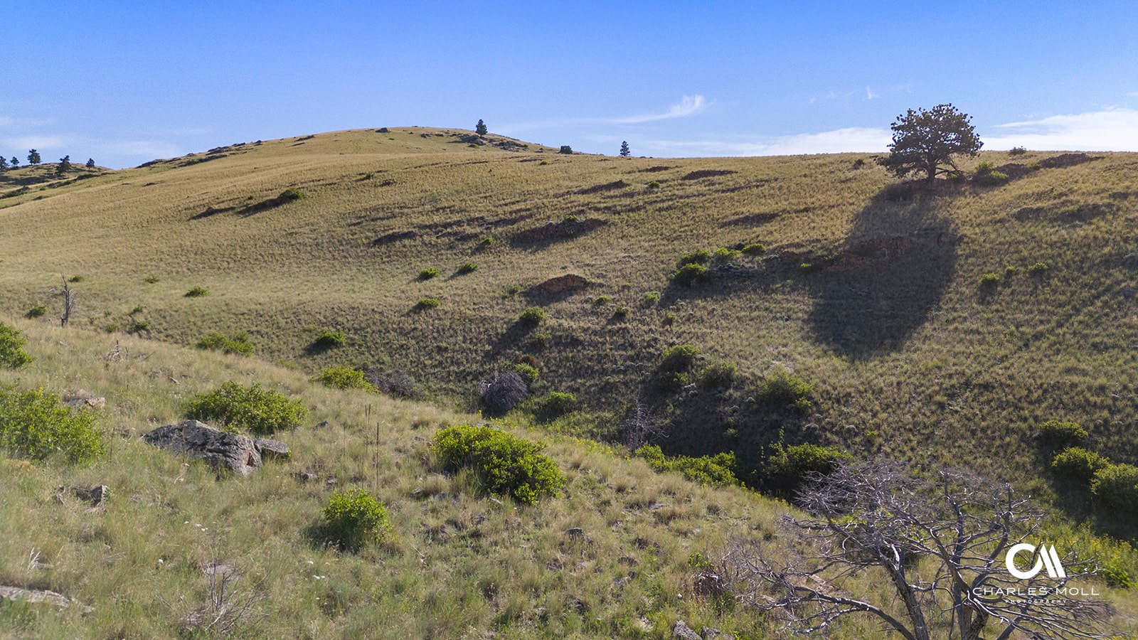Helena, Montana 59601, United States, ,Land,Active,156954