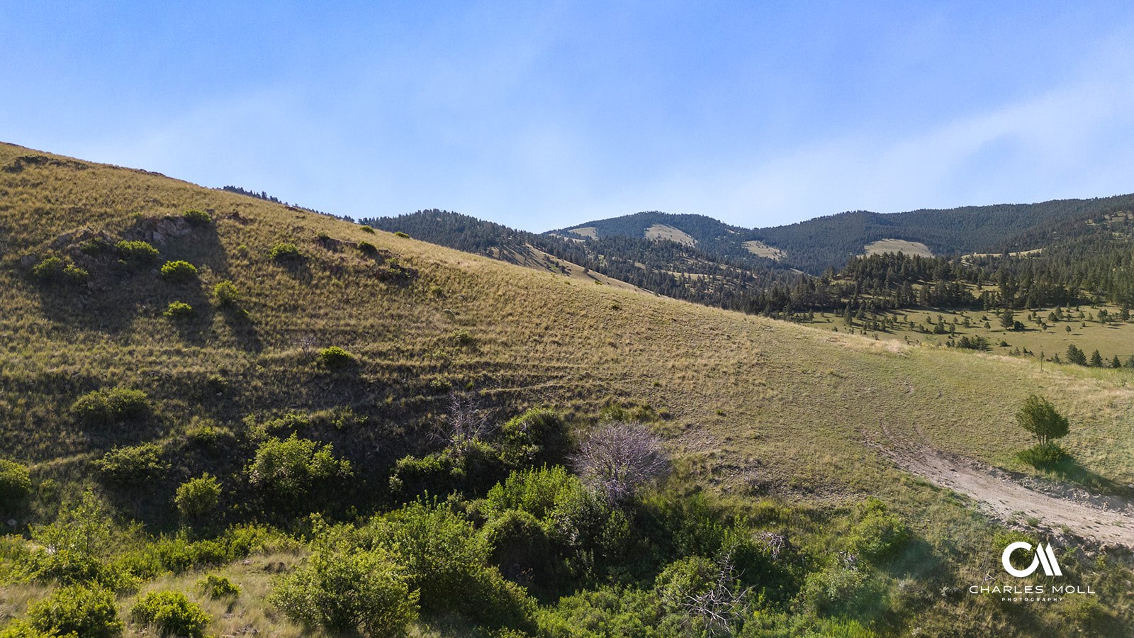 Helena, Montana 59601, United States, ,Land,Active,156954