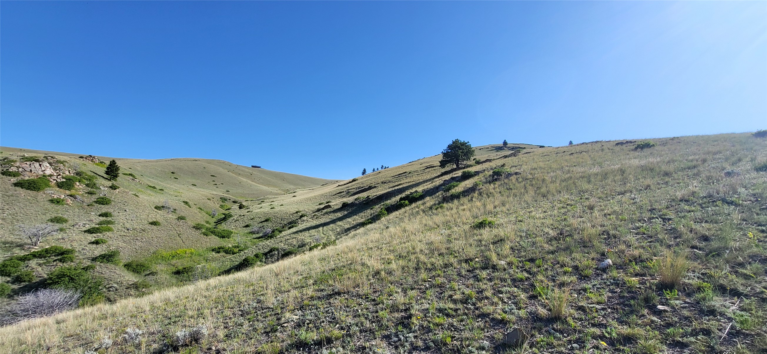 Helena, Montana 59601, United States, ,Land,Active,156954