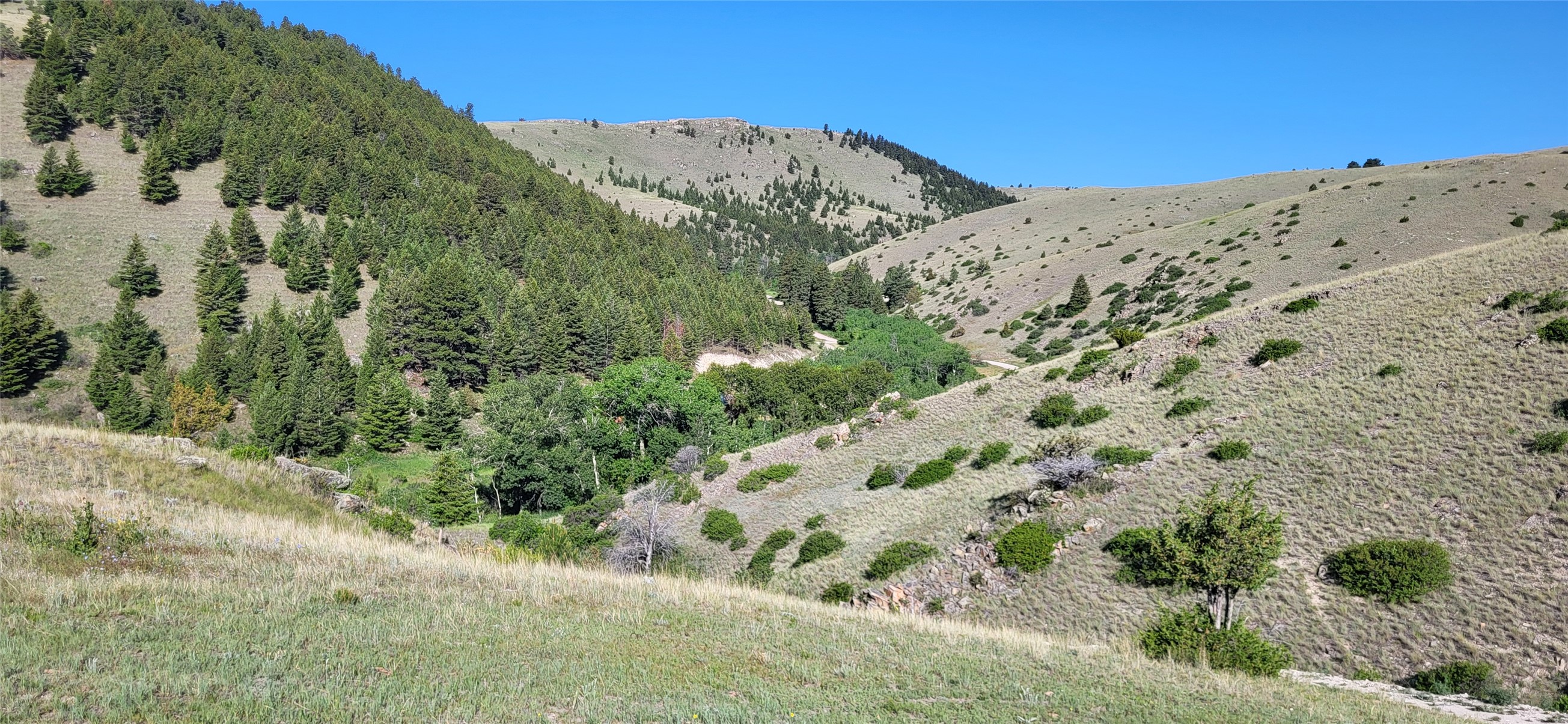 Helena, Montana 59601, United States, ,Land,Active,156954