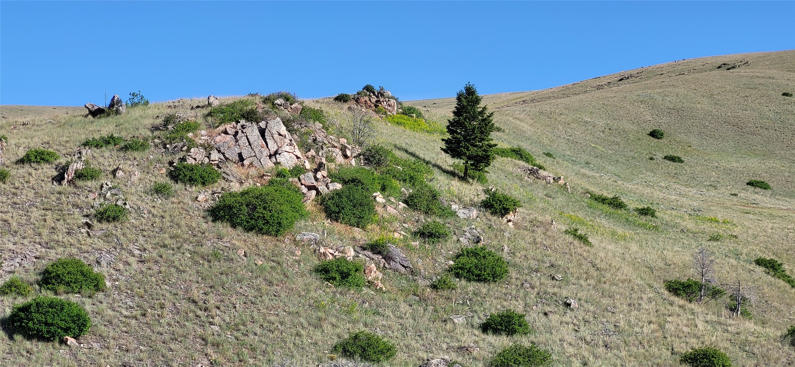 Helena, Montana 59601, United States, ,Land,Active,156954