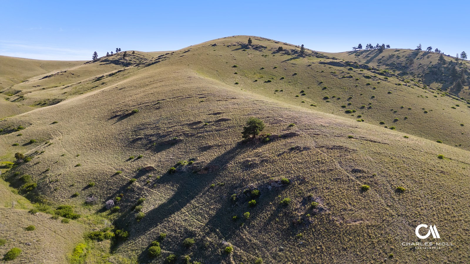 Helena, Montana 59601, United States, ,Land,Active,156954