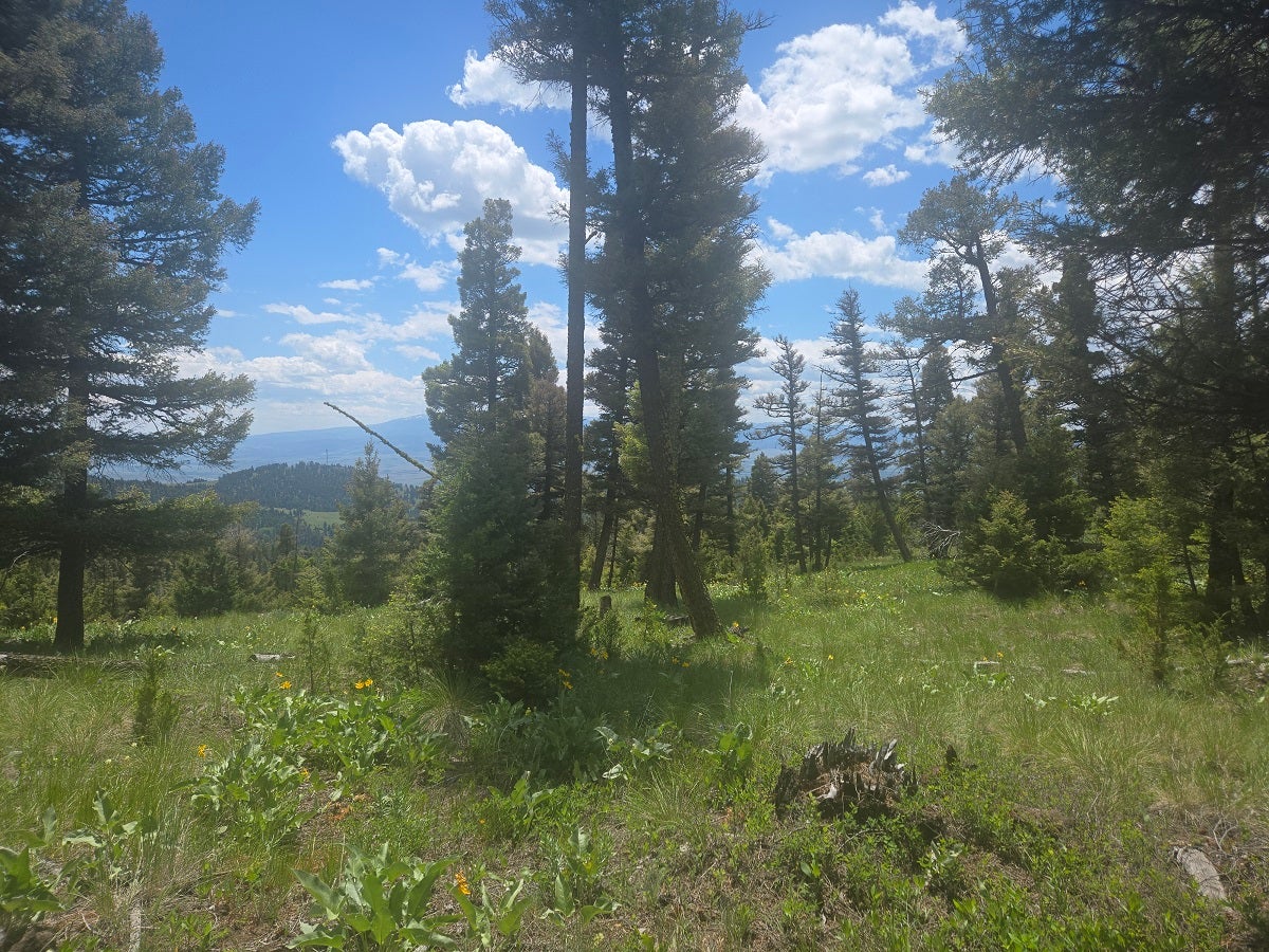 2 Big Sky Ridge Road