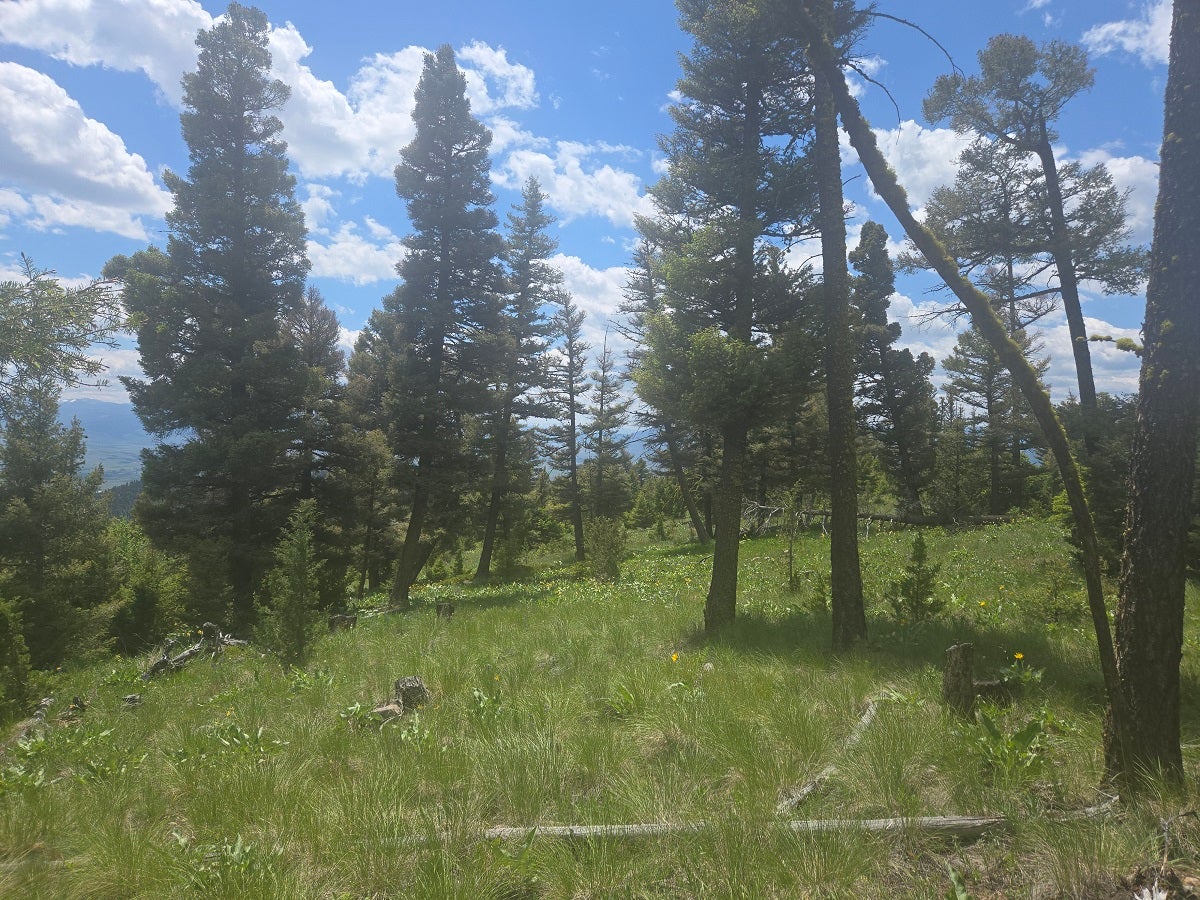 2 Big Sky Ridge Road
