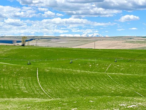 TBD Camp Creek Road Manhattan MT 59741