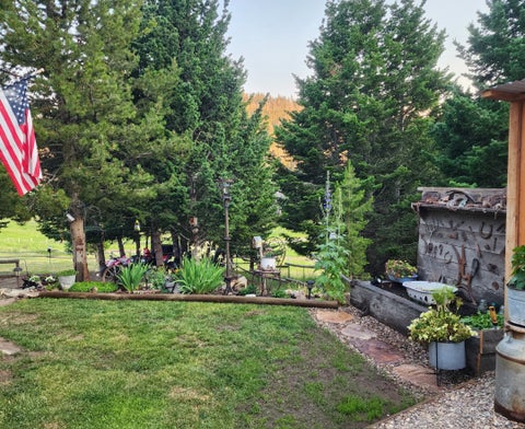 Tiny photo for 6570 Blossburg Road, Canyon Creek, MT 59633 (MLS # 30076295)