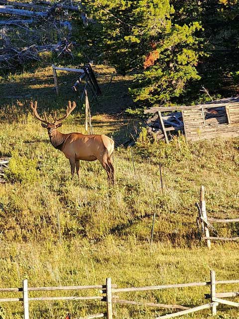 Photo of 6570 Blossburg Road, Canyon Creek, MT 59633 (MLS # 30076295)
