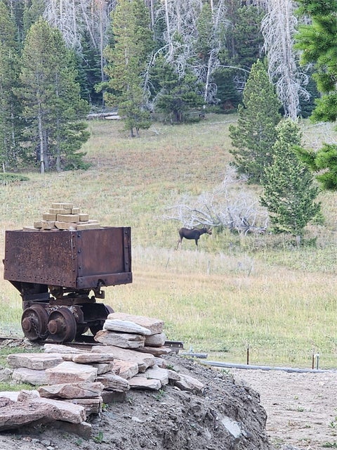 Tiny photo for 6570 Blossburg Road, Canyon Creek, MT 59633 (MLS # 30076295)