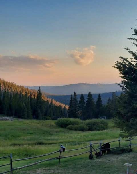 Tiny photo for 6570 Blossburg Road, Canyon Creek, MT 59633 (MLS # 30076295)