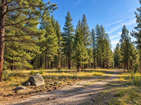 Photo of NHN Holloway Lane, Florence, MT 59833 (MLS # 30078822)