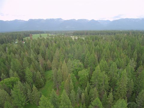 Tiny photo for 940 McCaffery Road, Bigfork, MT 59911 (MLS # 30071024)