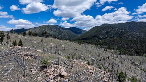 Tiny photo for Lot 51 Nursery Creek Road, Boulder, MT 59632 (MLS # 30073162)
