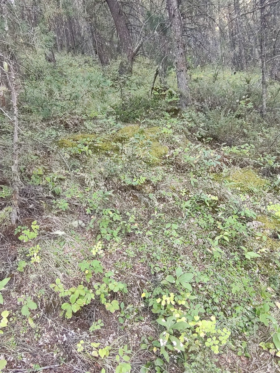 NKN Gonq Road/Contract Mill Road