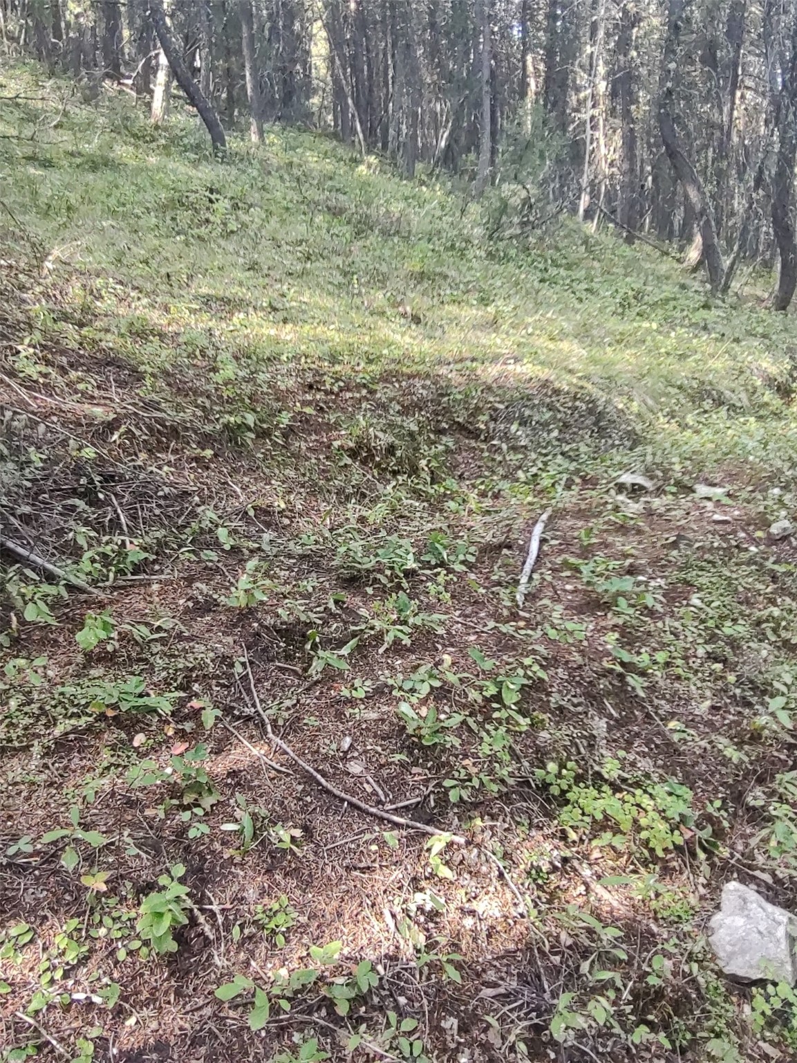 NKN Gonq Road/Contract Mill Road