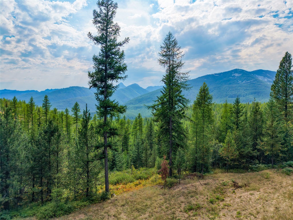 Photo of 14469 Libby Creek Road, Libby, MT 59923 (MLS # 30078274)