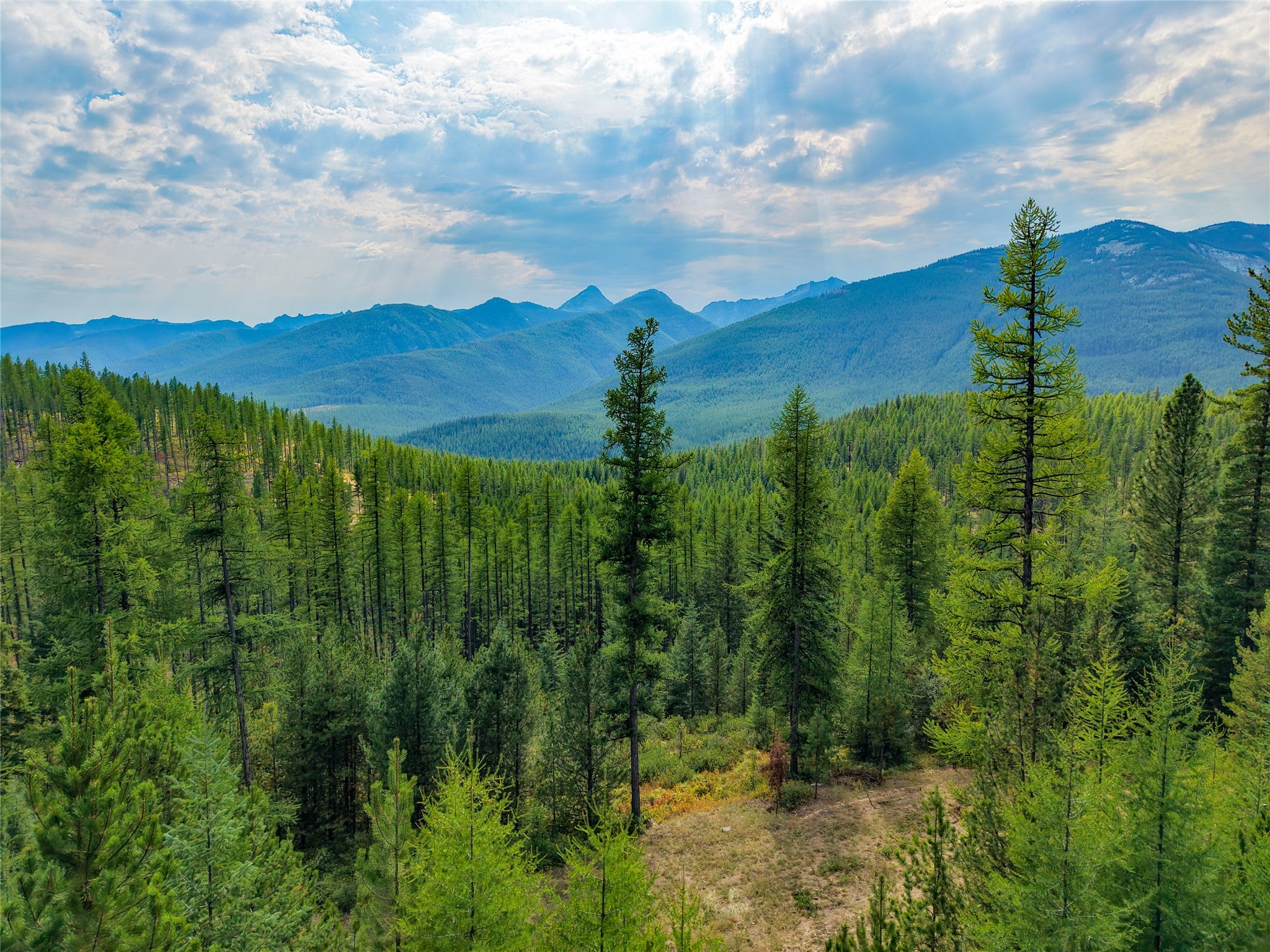 14469 Libby Creek Road