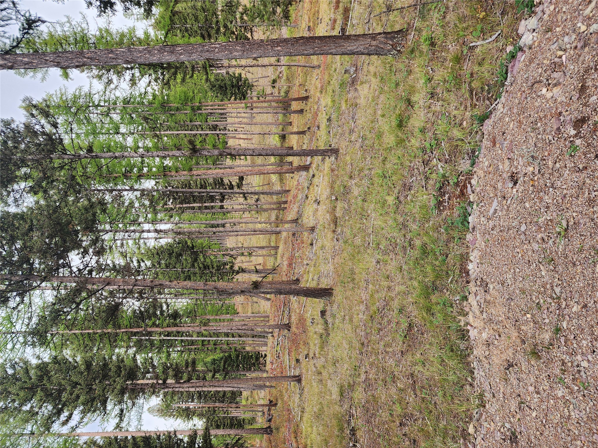 408 Montana View Drive