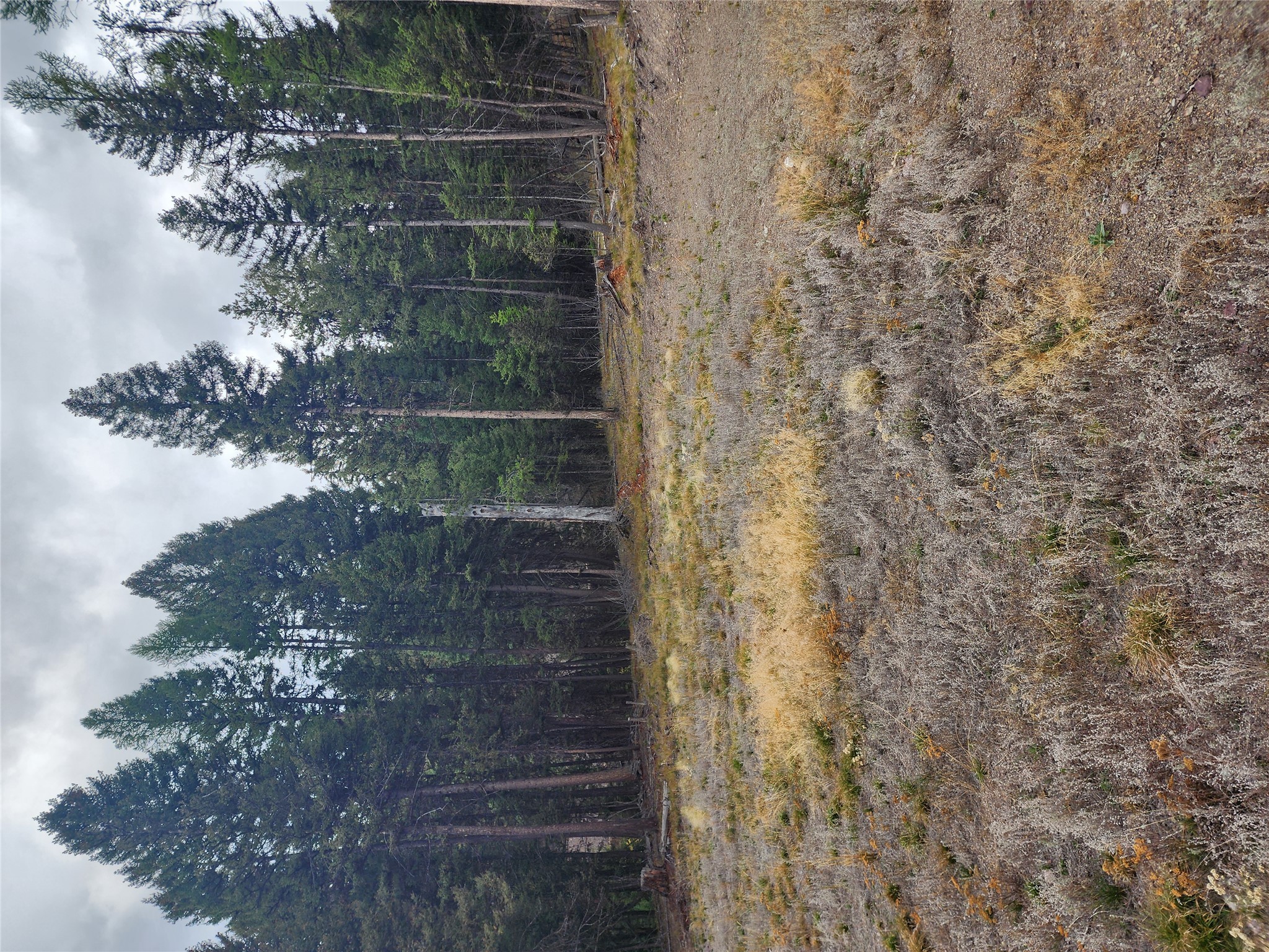 408 Montana View Drive