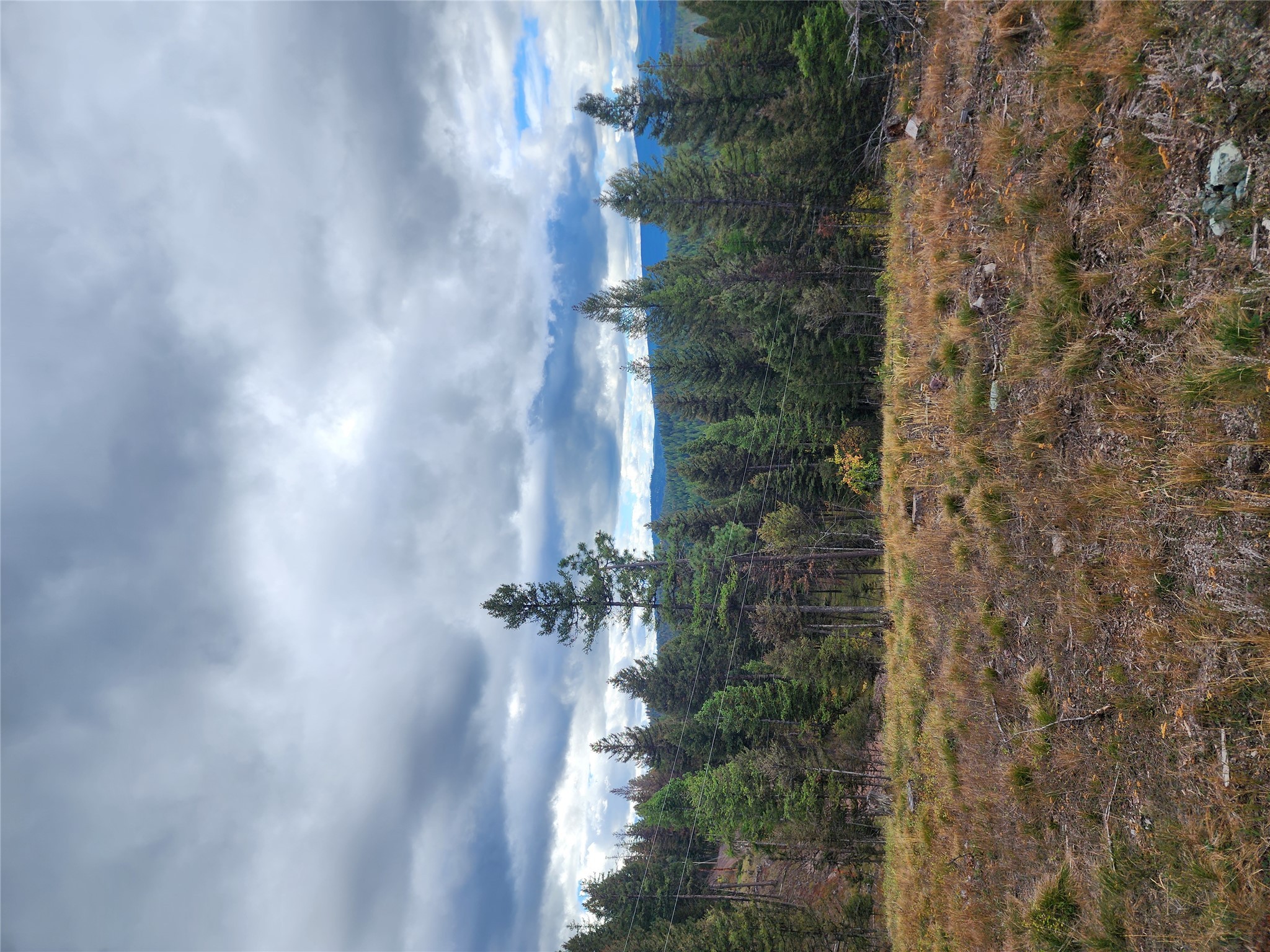 408 Montana View Drive