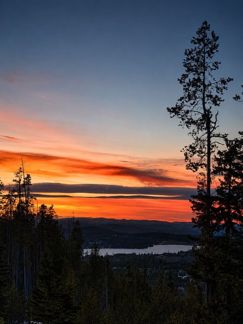 Tiny photo for 270 Theodosia Lane, Anaconda, MT 59711 (MLS # 30071446)